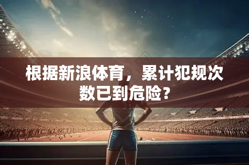 根据新浪体育，累计犯规次数已到危险？