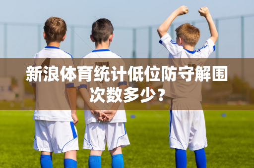 新浪体育统计低位防守解围次数多少？