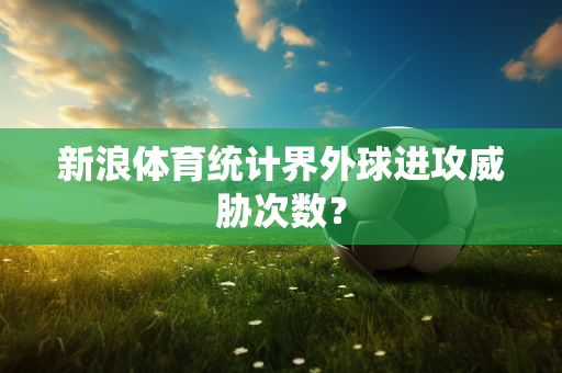 新浪体育统计界外球进攻威胁次数？