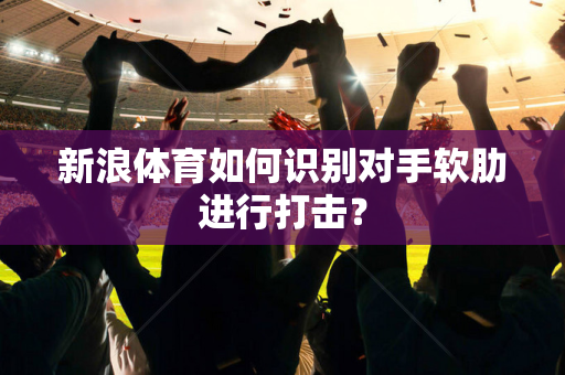 新浪体育如何识别对手软肋进行打击？