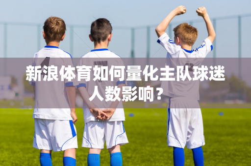 新浪体育如何量化主队球迷人数影响？