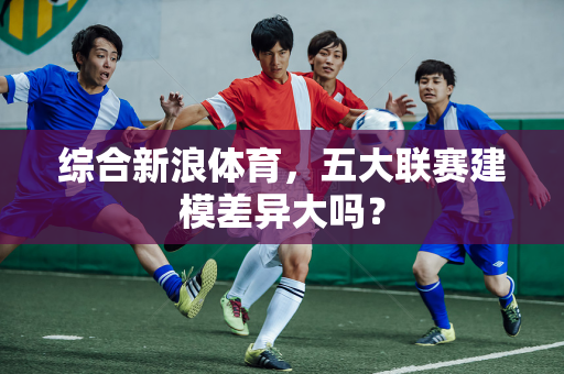 综合新浪体育，五大联赛建模差异大吗？