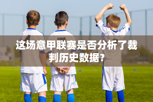 这场意甲联赛是否分析了裁判历史数据？