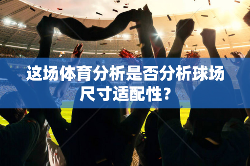 这场体育分析是否分析球场尺寸适配性？