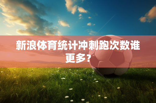 新浪体育统计冲刺跑次数谁更多？